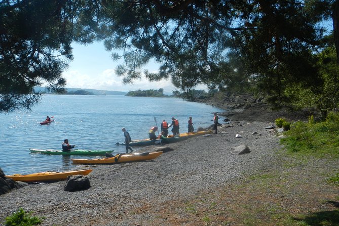 2- hour kayak trip on the Oslo Fjord - Key points at a glance