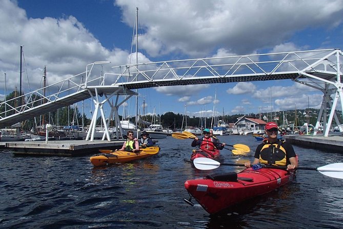 2- hour kayak trip on the Oslo Fjord - What the guide adds to the experience