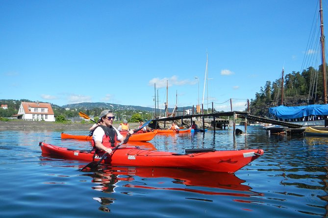 2- hour kayak trip on the Oslo Fjord - How much value do you get for $117.91?