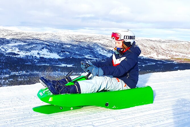2-Hour Racing Toboggan at Dagali Fjellpark near Geilo in Norway - Key points to know before you book