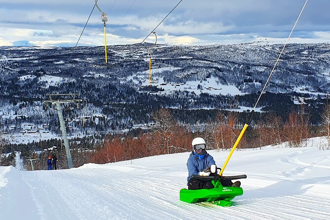 2-Hour Racing Toboggan at Dagali Fjellpark near Geilo in Norway - Daylight or night sledding near Geilo