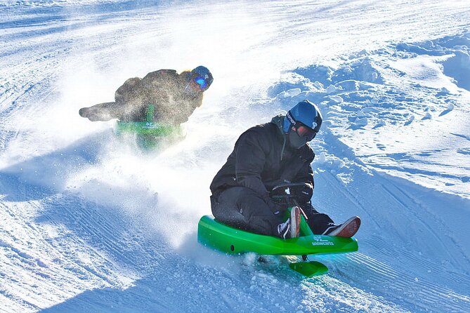 2-Hour Racing Toboggan at Dagali Fjellpark near Geilo in Norway - Steering, braking, and the feel of the sled