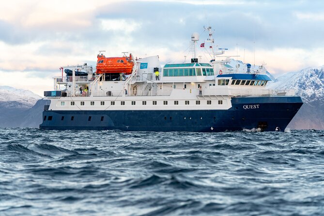 24hr Northern Lights & Whale Watching Cruise - A full Arctic night from Tromsø