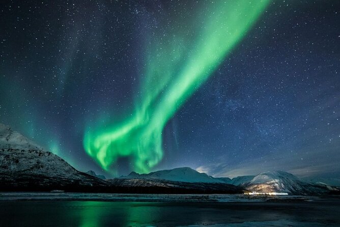 24hr Northern Lights & Whale Watching Cruise - Morning whale watching around Skjervøya