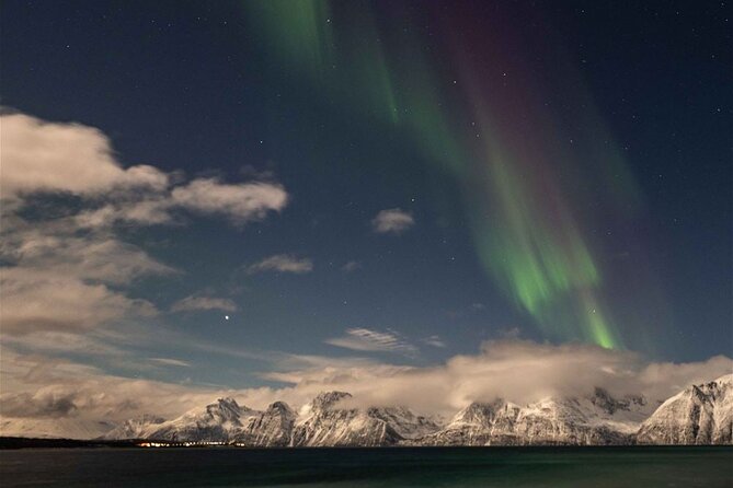 24hr Northern Lights & Whale Watching Cruise - Dinner, cabins, and the first northern lights chase