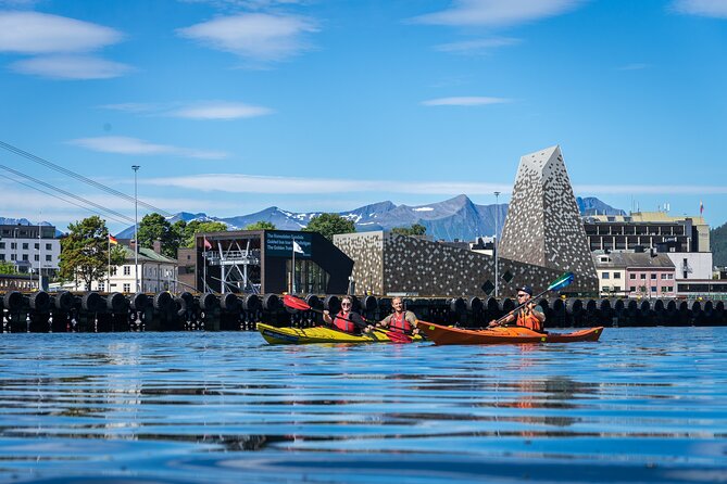 3-Hour Kayak Tour in Åndalsnes - Who will enjoy this paddle most?