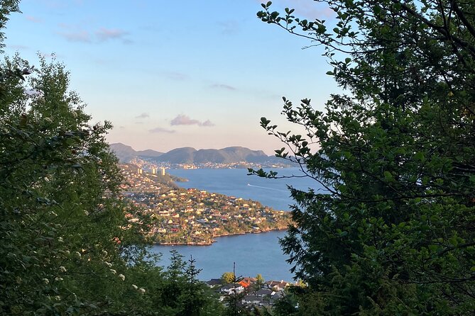 3-Hour Private Norwegian Hiking Experience with Local Guide - Price and what you receive for $150.70