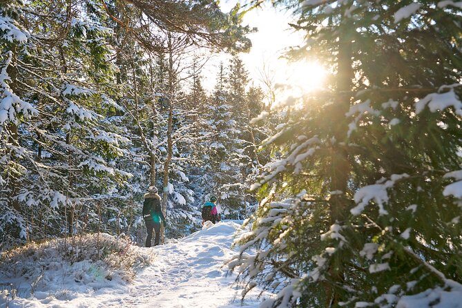 4 hours Best View of the Oslofjord Winter Edition - Fuglemyrhytta and the Norwegian cabin tradition