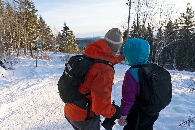 4 hours Best View of the Oslofjord Winter Edition - Reaching the Vettakollen viewpoint