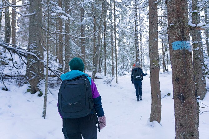 4 hours Best View of the Oslofjord Winter Edition - Returning by metro to Oslo