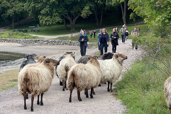 4 Hours Island Hopping Tour in Oslo - Lindøya: cabin lanes and a slower island rhythm