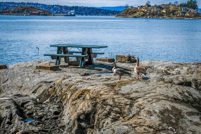 4 Hours Island Hopping Tour in Oslo - What to pack for a comfortable day