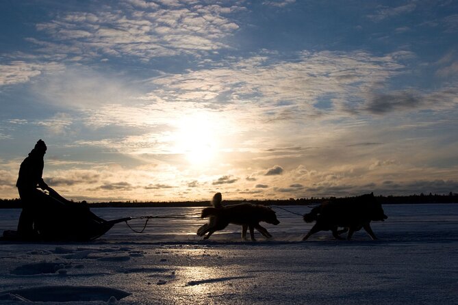 4hr Dog Sledding Tour under the Northern Lights - Warming up at the Gargia mountain lodge