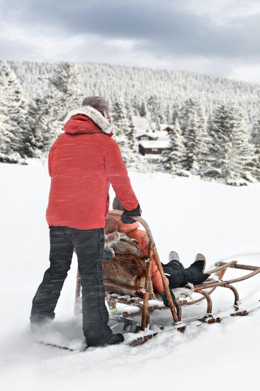 4hr Dog Sledding Trip on Finnmarksvidda - From Alta to Gargia in 30 minutes
