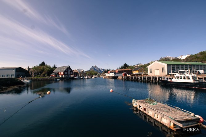 5 Highlights Of Lofoten From Svolvær - Who will enjoy this Lofoten road trip most?