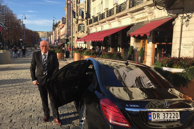 8 hours Full-Day Exclusive Oslo Tailormade Guided Limo Tour - Ekebergparken brings art and a city view