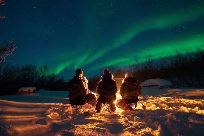 Adults Only Aurora Hunt with Wandering Owl - Skibotn: an inland search for open sky