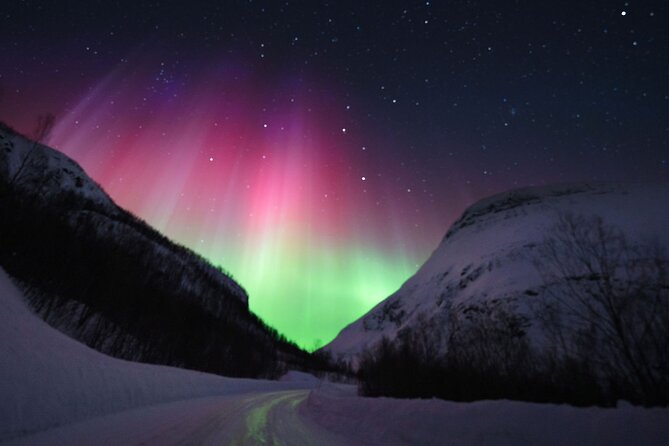 Adults Only Aurora Hunt with Wandering Owl - Firelight, soup, and thermal gear