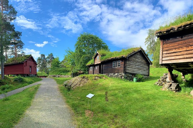 Alesund 3 hrs Private tour Medieval Village Sunnmore - A Guide Who Shapes the Experience