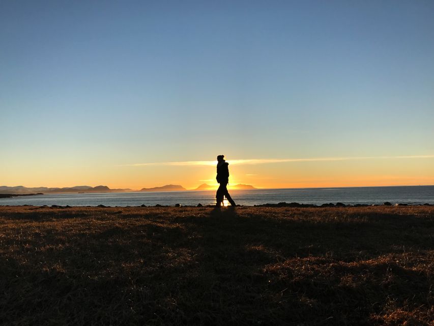 Ålesund: Ålesund and Surrounding Islands Audio Guide Tour - Should you book the Ålesund island tour?