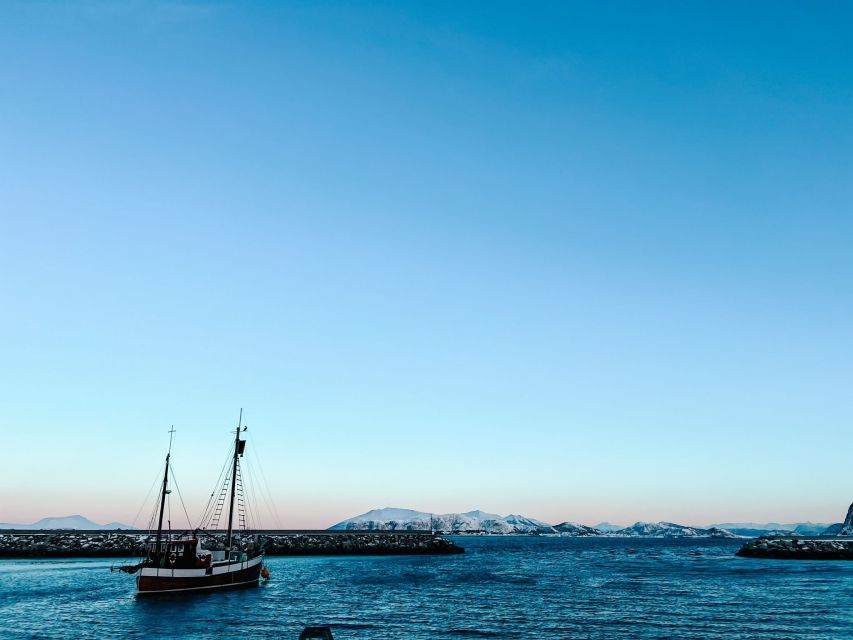 Ålesund: Ålesund and Surrounding Islands Audio Guide Tour - Crossing to Alnes and its fishing-island character