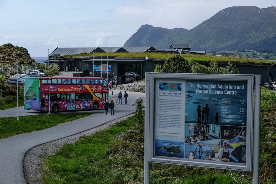 Alesund: City Sightseeing Hop-On Hop-Off Bus Tour - Stop 6: Art Nouveau Centre and Kube