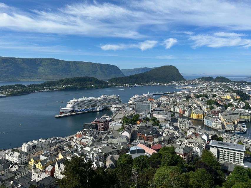 Ålesund: Giske and Godøy Islands Guided Sightseeing Tour - Why the islands make a better half-day outing