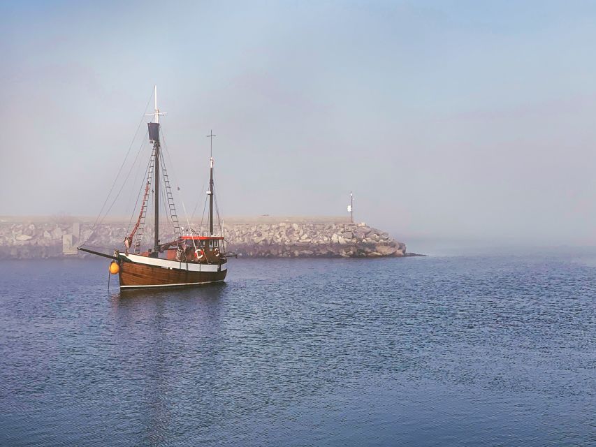 Alesund: Private Tour to the Viking Islands - What the four-hour format really allows
