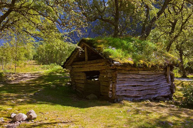 Alesund Shore Excursion: The Ultimate Sightseeing Tour - Sunnmøre Museum: old houses and boats with room to wander