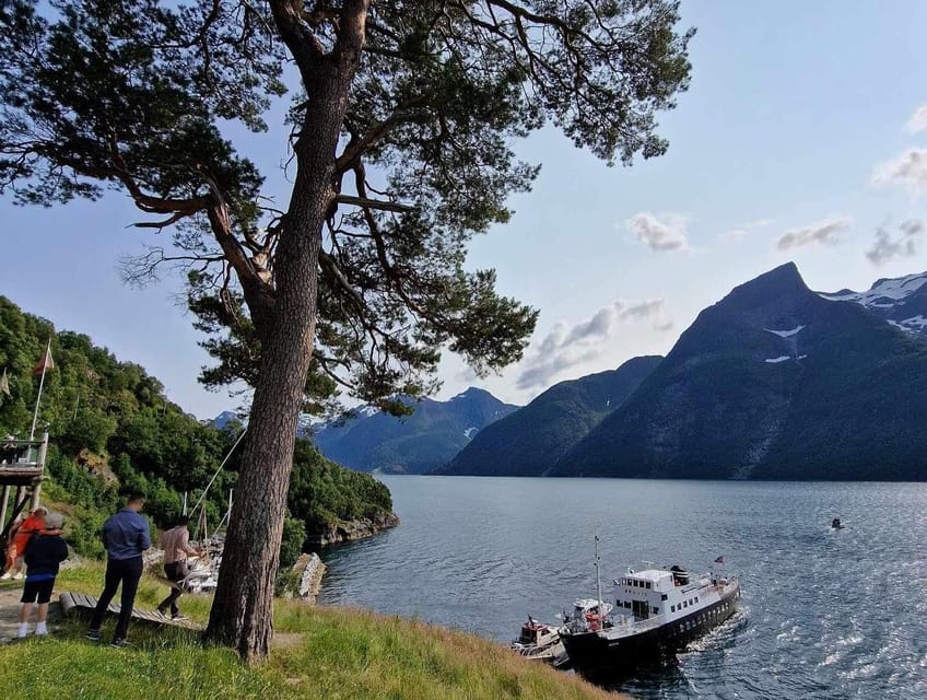 Ålesund-Trandal fjord tour with 3 hours stop at Trandal - Key points to know before you book