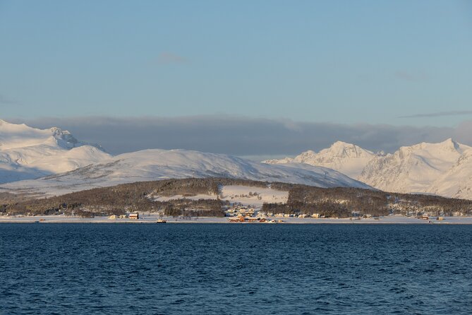 All-Inclusive Arctic Fjords and Sommarøy Scenic Tour - How the weather affects the experience