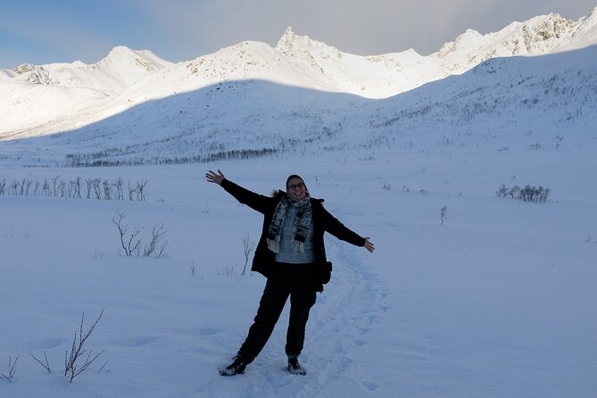All-Inclusive Arctic Fjords and Sommarøy Scenic Tour - Who will enjoy this Kvaløya outing