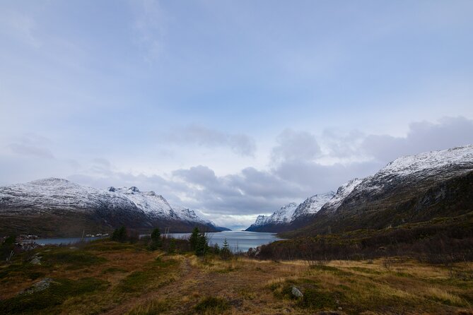 All-Inclusive Arctic Fjords and Sommarøy Scenic Tour - The road to Sommarøy