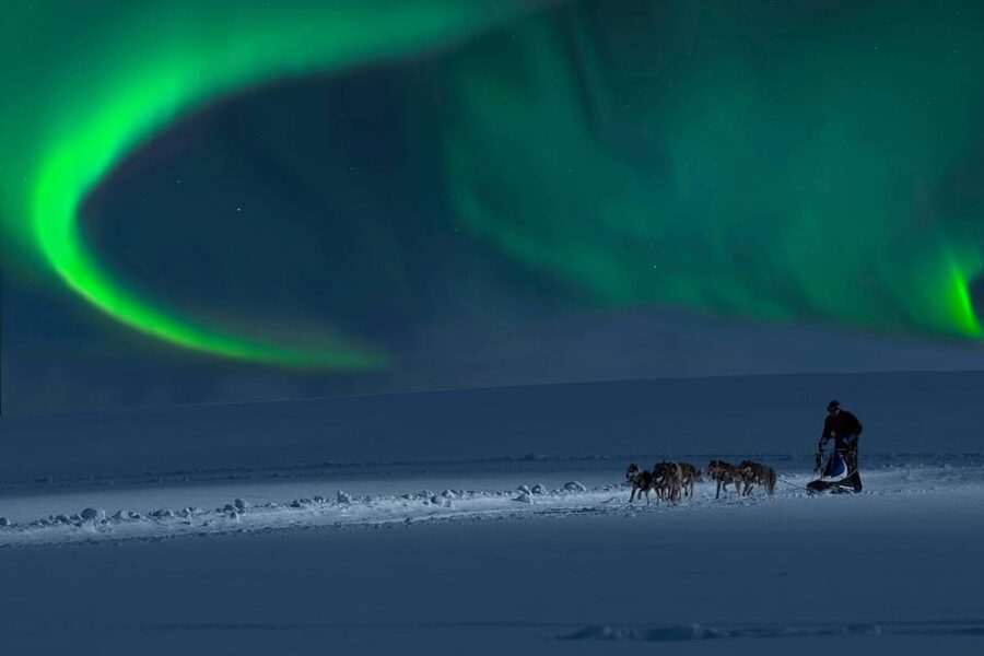 Alta: Dog Sledding Trip under the Northern Lights - Should you book it?