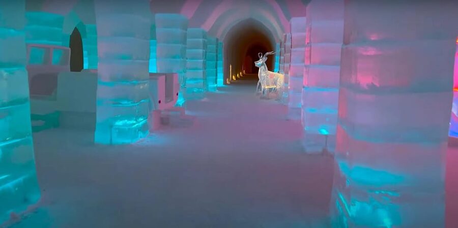 Alta: Igloo Ice Hotel and Hiking to the Frozen Waterfall. - Who should book this Alta experience?