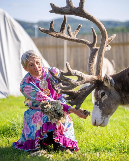 Alta: Reindeer - A carrier of Sámi Culture - Key points to know before you go