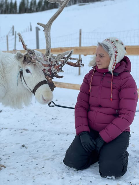 Alta: Sami Cultural Experience with Lavvu and Reindeers - Feeding reindeer after the storytelling