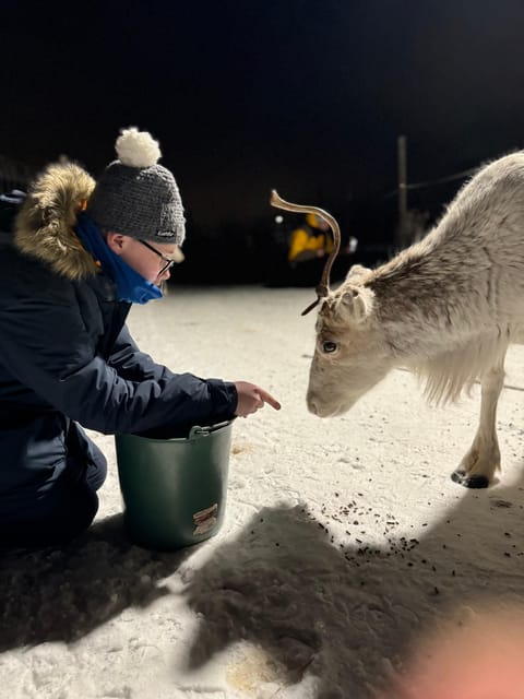 Alta: Sami Cultural Experience with Lavvu and Reindeers - What the 1.5-hour visit feels like