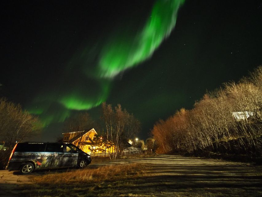 Alta: Small-Group Guided Northern Lights Tour - Key points to know before booking