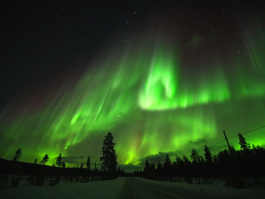 Alta: Small-Group Guided Northern Lights Tour - Why an Aurora hunt works better than one fixed stop