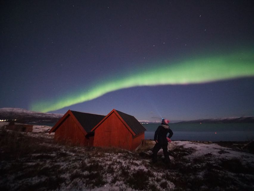 Alta: Small-Group Guided Northern Lights Tour - Driving around the Alta Fjord area