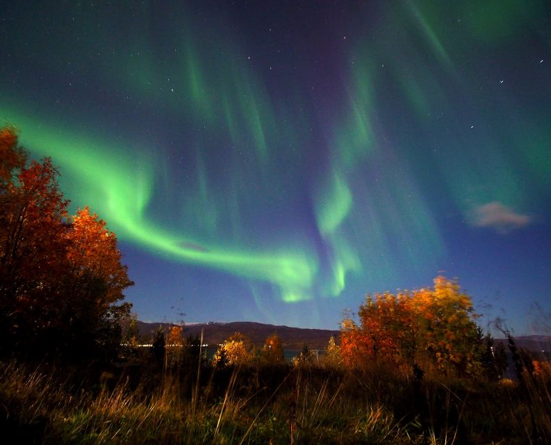 Alta: Small-Group Guided Northern Lights Tour - What happens at the viewing stops
