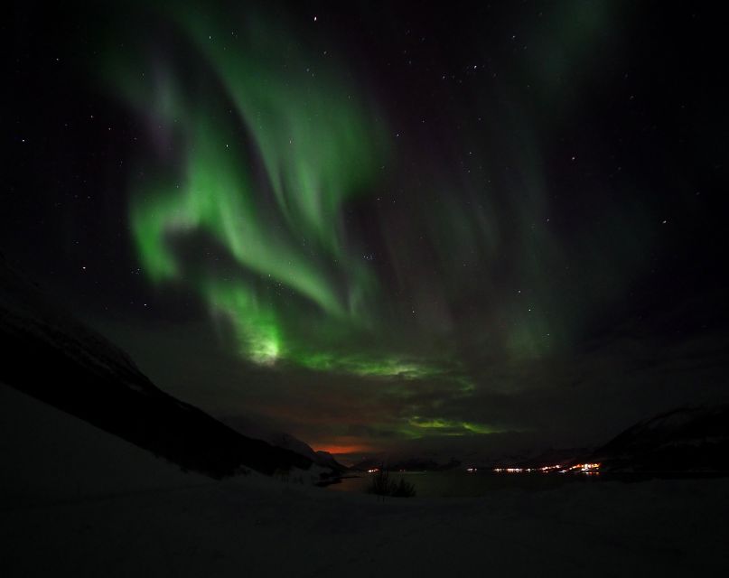 Alta: Small-Group Guided Northern Lights Tour - Who should choose this Alta excursion