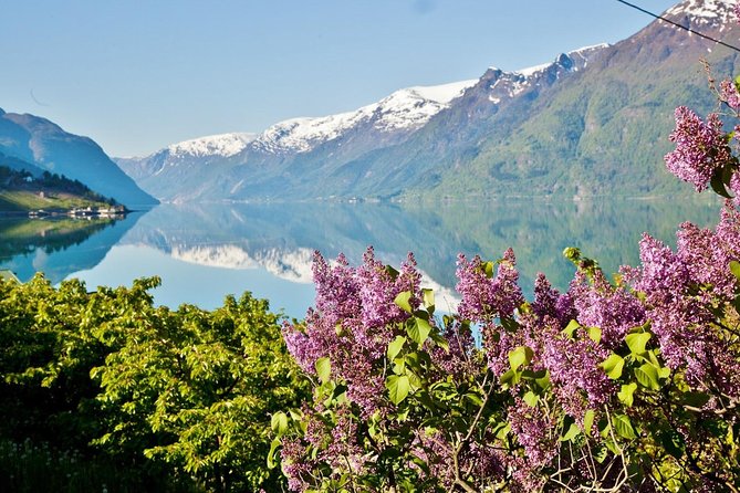AMAZING HARDANGER FJORD: Private guided round trip from Bergen, 10 hours - Hardangerfjord, Goldfish Lake, and Steinstø