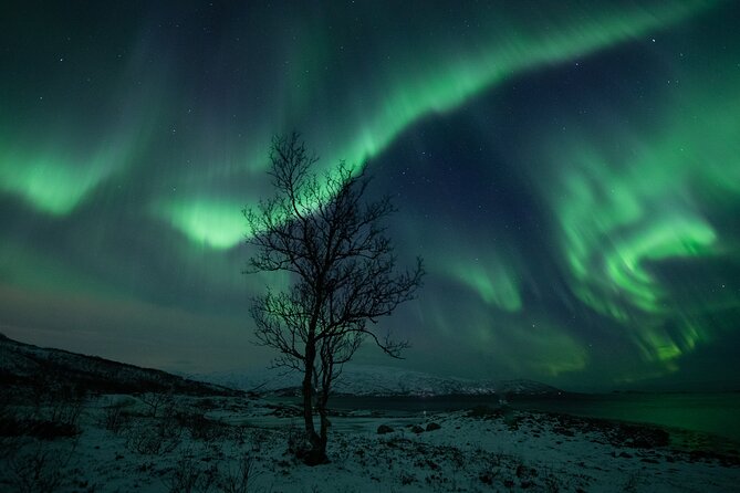 An All-Inclusive Tour - Aurora & Arctic Experience - Thermal suits help, but bring proper boots