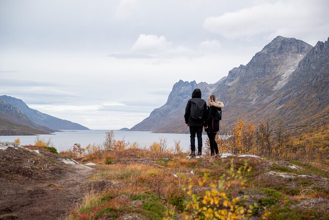 Arctic Fjord Roadtrip with Scenic Picnic from Tromso - Leaving Tromsø for Kvaløya’s open country