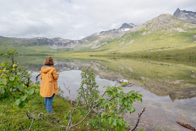 Arctic Fjord Roadtrip with Scenic Picnic from Tromso - Guides who add more than directions