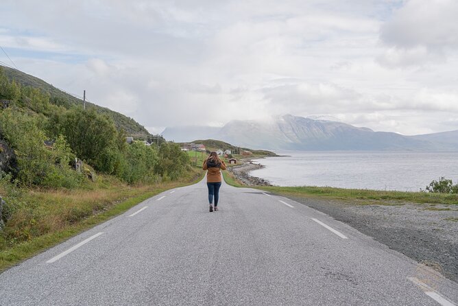 Arctic Fjord Roadtrip with Scenic Picnic from Tromso - What the minibus ride is really like