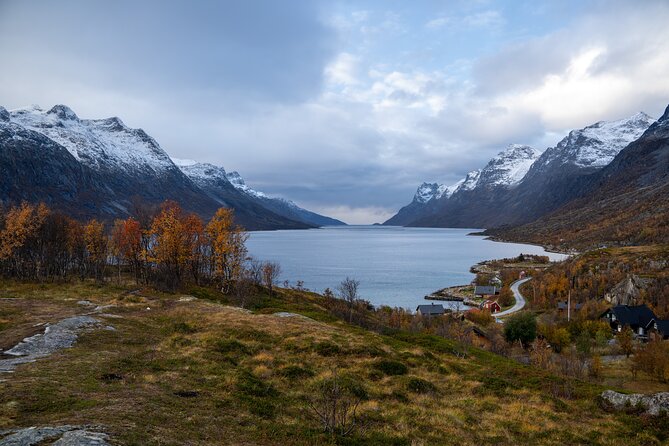 Arctic Fjord Roadtrip with Scenic Picnic from Tromso - Why the price can be good value