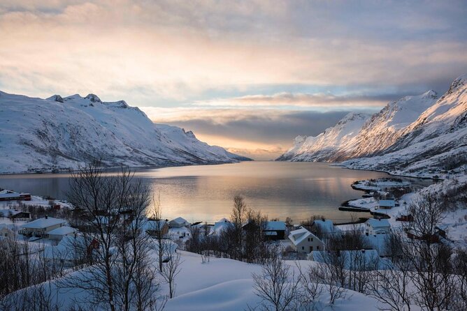 Arctic Fjord Sightseeing by Minibus - Leaving Tromsø for Kvaløya’s open country